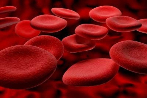  RBC là chữ viết tắt của cụm từ Red Blood Cell