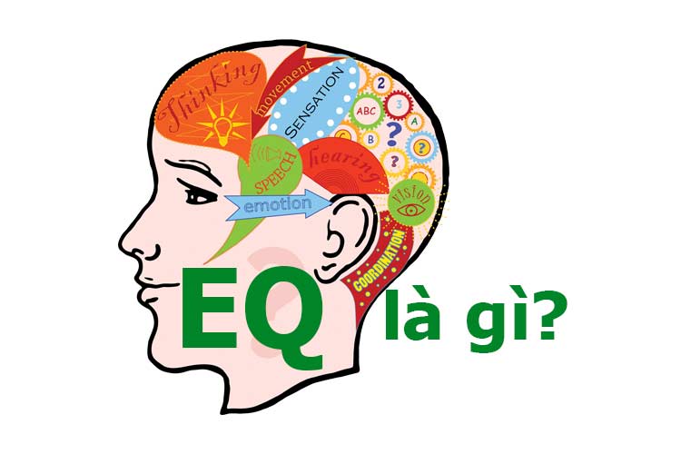 Chỉ số EQ là gì? Tại sao chỉ số EQ quan trọng?